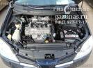 Nissan Primera (P12) (седан) 1.8i (116Hp) 2003г.в.